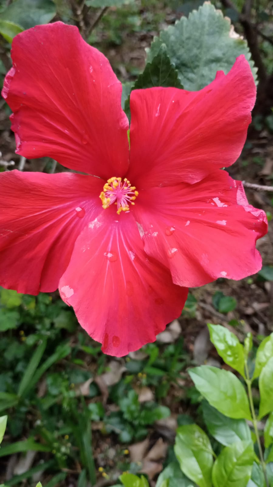 Problems are not stop signs, they are guidelines